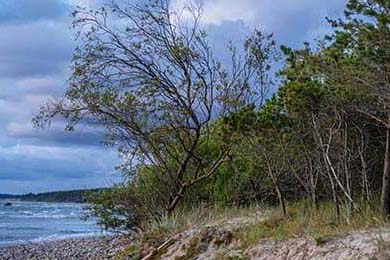 58同城租房子附近租房下载(58 同城 租房子)