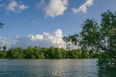 东莞修车资源2020(2020东莞修车吧你懂)