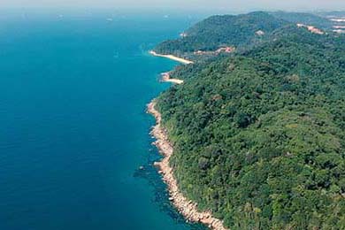 有哪些破解论坛(最新破解论坛)